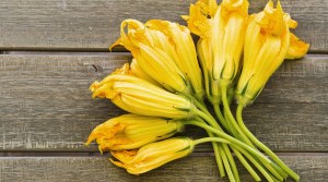 fiori_zucca